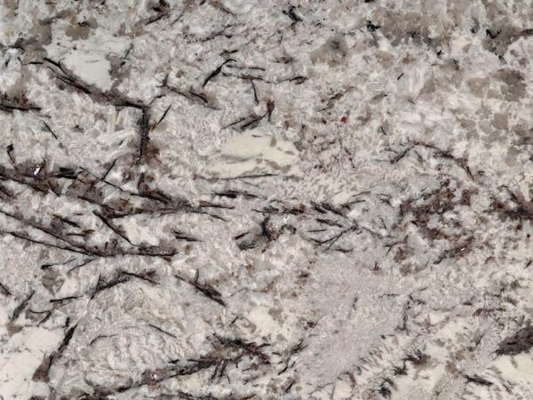 DELICATUS WHITE GRANITE - Image 3