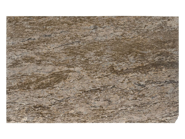 SAVANNA GOLD GRANITE - Image 3